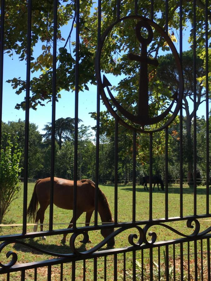 Chateau Du Go Αλμπί Εξωτερικό φωτογραφία